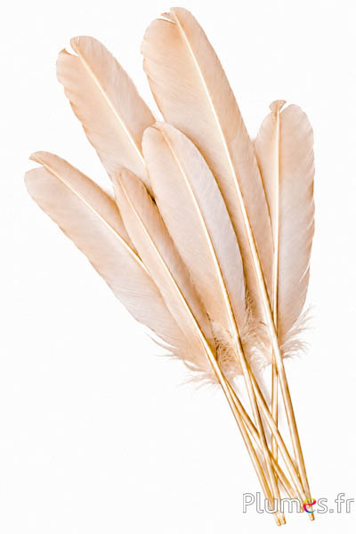 Cigno con velo dorato - 30-33 cm - bianco